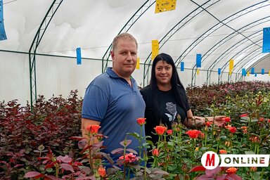 Csonka Szilvia és Ervin a virágaik között (Fotó: BJK)