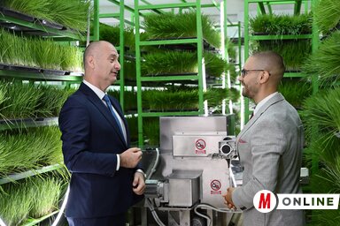 Molnár Edvárd felvétele