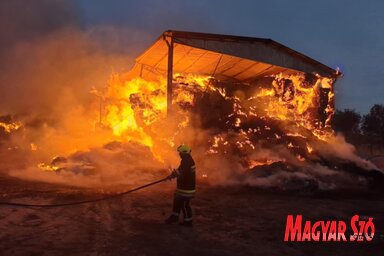 Nagy erőkkel próbálták megfékezni a lángokat/Fotó:Tóth Péter