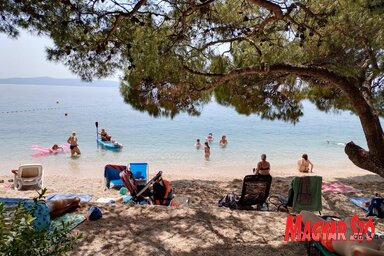 A meggörbült fák a tenger fölé nyúlnak, és természetes árnyékot nyújtanak a strandolóknak (Varjú Márta felvétele)
