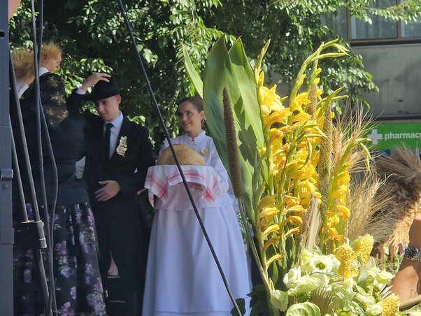 Minden évben aratópárt választanak (Fotó: Bartus Bella)