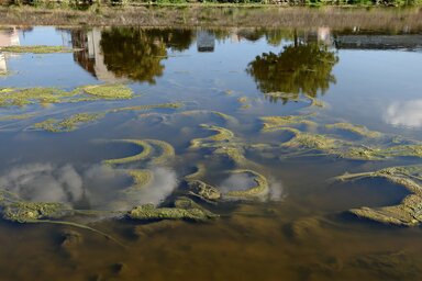 A Nišava szintje is extrém alacsony (Fotó: Beta) A Nišava szintje is extrém alacsony (Fotó: Beta)