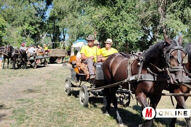 Fogatos kocsik érkezése a találkozóra (Horváth Zsolt felvétele)