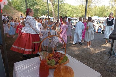 A tavalyi szüreti napok egyik pillanata (Kazinczy Paszterkó Diana)