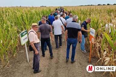A tapasztalatcsere fontos a termelőknek (Fotó: Vidács Hajnalka)
