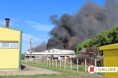 Csincsik Zsolt felvétele