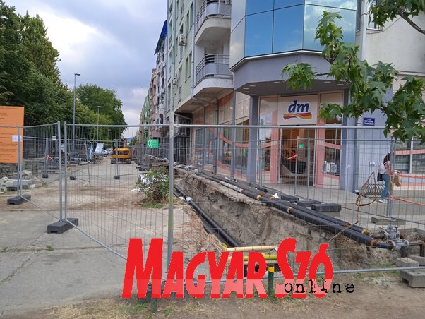 A Heréskertben, a Majka Jevrosima téren is melegvízvezeték-felújítási munkálatok kezdődtek nemrég. A nyár az az időszak, amikor a
távfűtő művek intenzíven végzi az elengedhetetlen karbantartási
és fejlesztési munkákat annak érdekében, hogy a város lakói a téli idényben otthonaikban minél kellemesebb körülmények között
élvezhessék a fűtést. A heréskerti Majka Jevrosima téren szeptember 17-éig tilos a közlekedés a Janko Veselinović utcától a tér végéig. A környéken az építkezési kerítések és a kiásott árkok fennakadást okoznak a gyalogosok mozgásában is, ezért legyünk óvatosak, különösen kerékpáron közlekedve! (Fotó: Szeli Balázs felvétele)