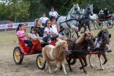 A rendezvényen a gyermekek is részt vettek (Fotó: Nagykikindai önkormányzat)