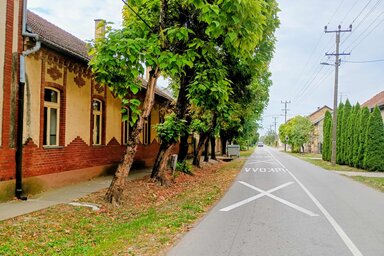Fotó: BJK