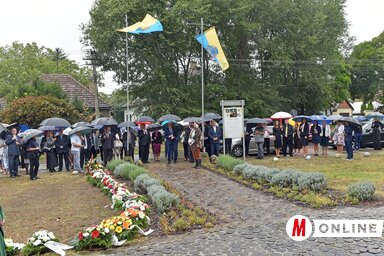 városnap Zenta