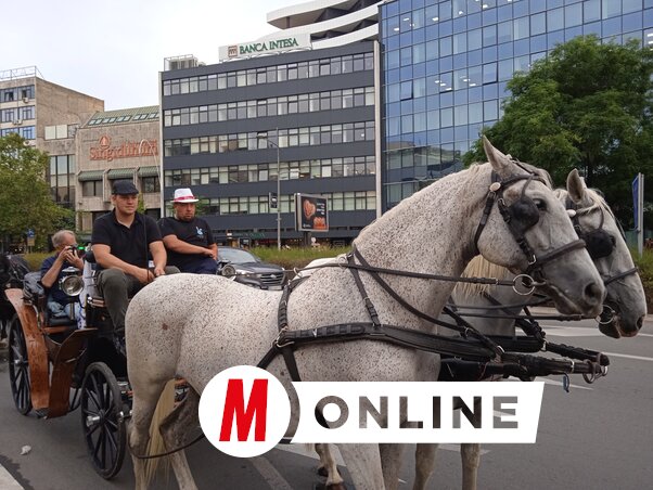 Az idén is fiákerek vonultak végig Újvidék utcáin a belvárosi tamburamúzeumtól a SPENS épülete előtti platóig. Minden évben valamilyen formában a város utcáin, testközelből harangozzák be a népszerű tamburaeseményt (Fotó: Szeli Balázs felvétele)