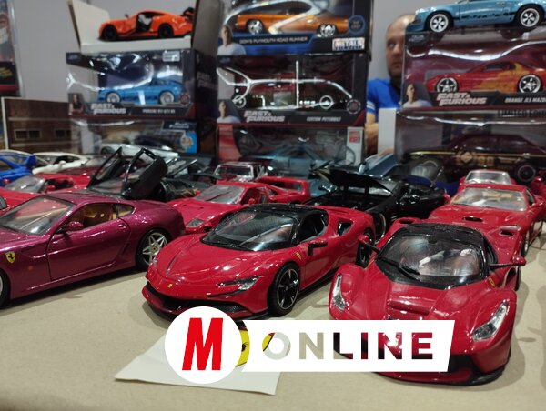 Igazi miniatűr ritkaságok, apró részletekkel megálmodva (Fotó: Zabos Kasziba Angéla)