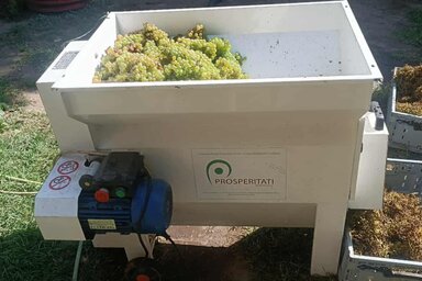 Folyik a munka Horgoson