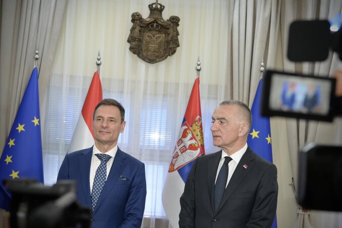 Tuzson Bence és Nenad Vujić