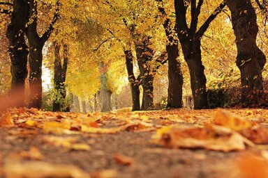 Illusztráció: pixabay.com
