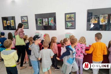 Már hétfőn nagy érdeklődés övezte a kiállítást (Fotó: Bajić Jenei Klementina felvétele)