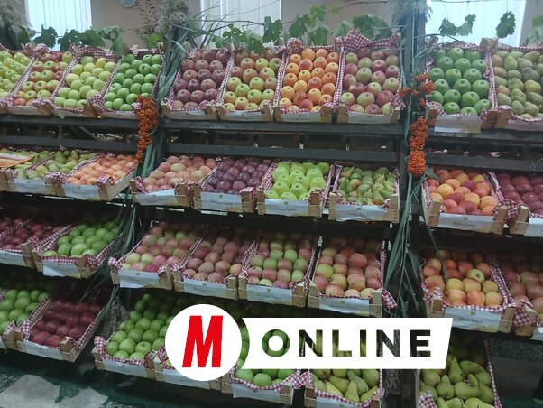 Az idén is a legszebb termések kerültek a fókuszba (Fotó: Kolovity Edina)