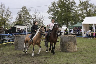 Fotó: Molnár Edvárd archív