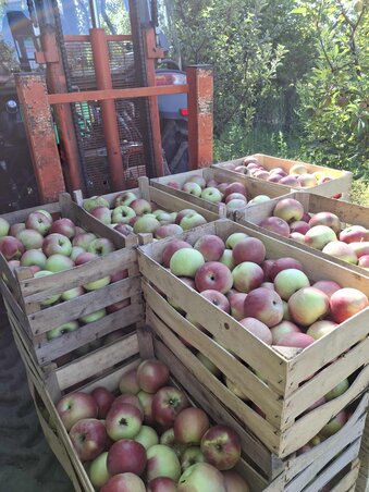 A szépségben nincs hiba (Fotó: VZ)