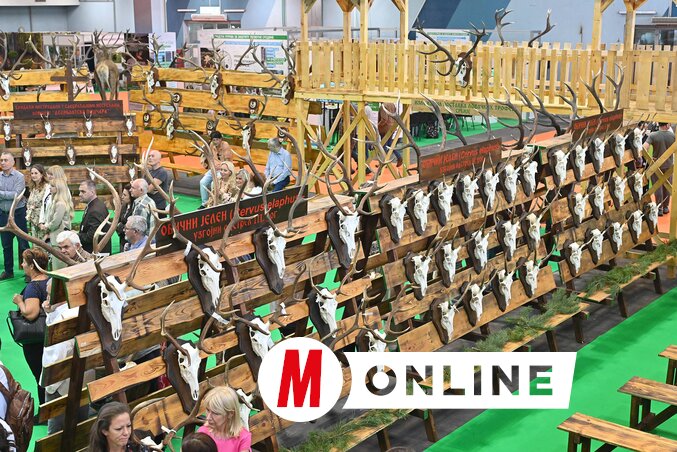 A Master csarnokban több mint 400 vadásztrófeát is kiállítottak (Fotó: Ótos András)