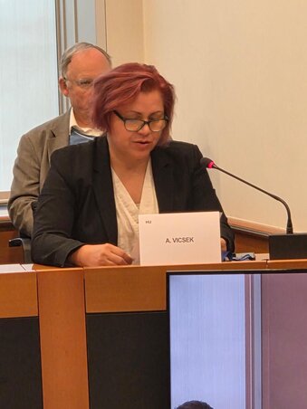 Vicsek Annamária (Facebook/Vicsek Annamária oldala)