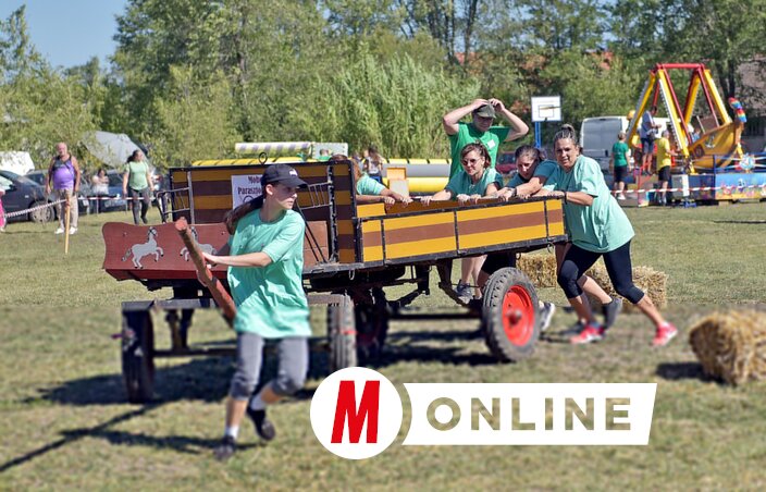 A női csapatok helytálltak minden versenyszámban