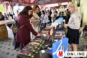 Connect+Grow üzleti konferencia Palicson