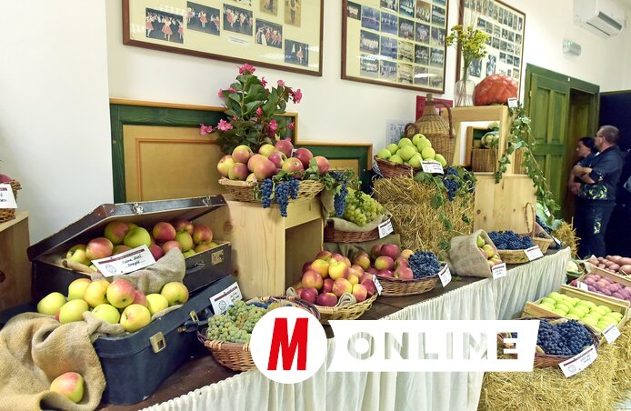 Gergely Árpád felvétele