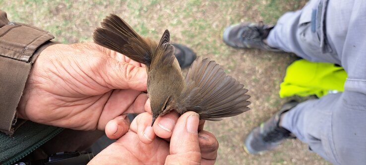 Fotó: Szekeres Levente