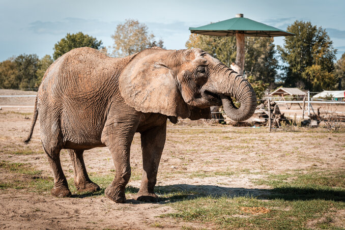 Fotókredit: Fehér Norbert