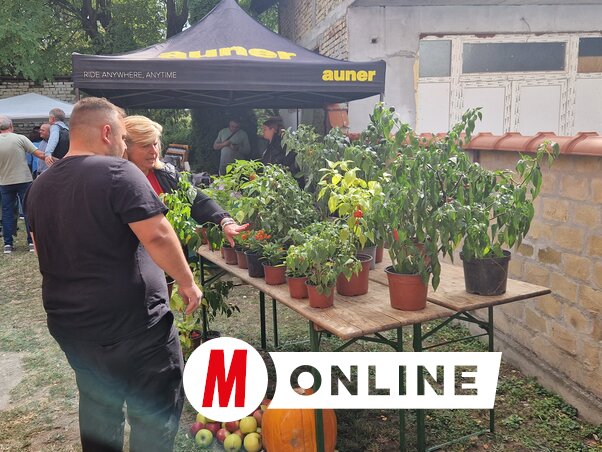 Erős paprikát is lehetett venni a fesztiválon (Fotó: Bartus Bella)