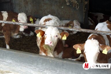 Ótos András felvétele