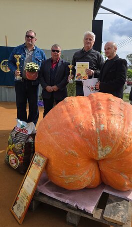 A legnagyobb tököt Topolyáról hozták (Fotó: Varga Zoltán felvétele)