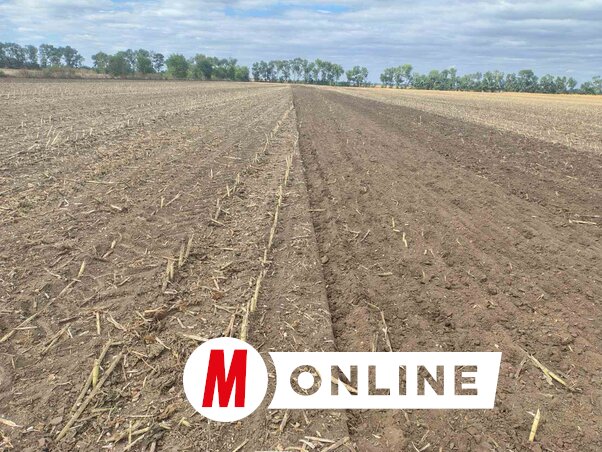 (Fotó: Paraczky László)