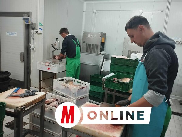 A halfeldolgozó üzemet 2020-ban nyitották meg a Prosperitati Alapítvány segítségével