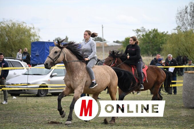 Tehetséges lovasok és ügyes lovak (Molnár Edvárd felvétele)