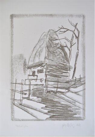 Kaliba – Hogyan nézhettek ki az első bukovinai telepeseink lakhelyei?