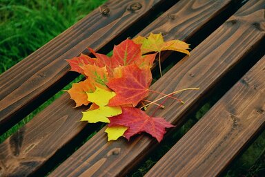 Pixabay
