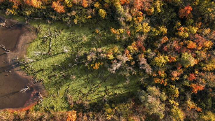Vízfogyatkozás (Fotó: Lustyik Gábor)