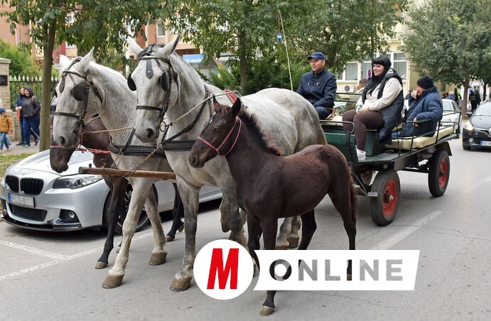 Az igazi menethez a lovasok is hozzátartoztak (Gergely Árpád felvétele)
