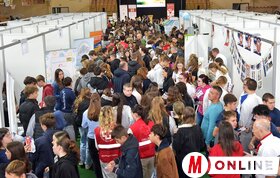 Suli-expo zenta, Juhász, Fremond