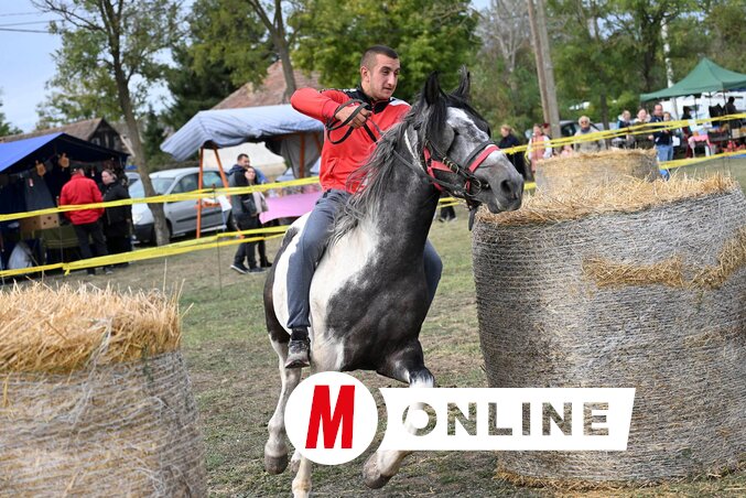 Egyes játékoknál a gyorsaság is fontos (Molnár Edvárd felvétele)