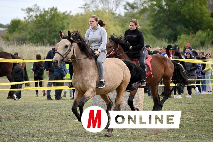 Hajrá! (Molnár Edvárd felvétele)