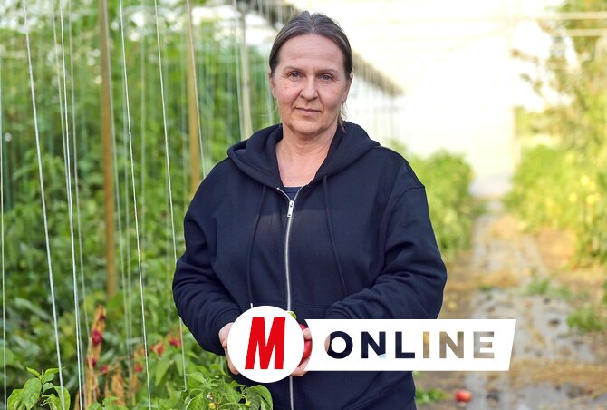 Márta Csilla a frissen szedett és ízletes paprikával (Gergely Árpád felvétele)