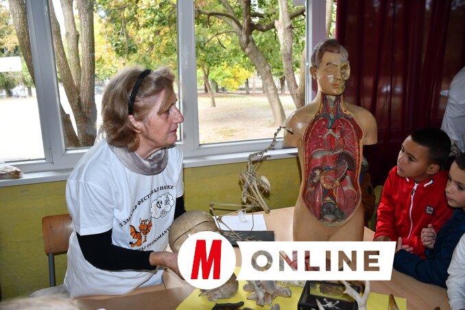 Milyen szervei vannak az embernek? – bemutató a biológia teremben (Fotó: Paraczky László)