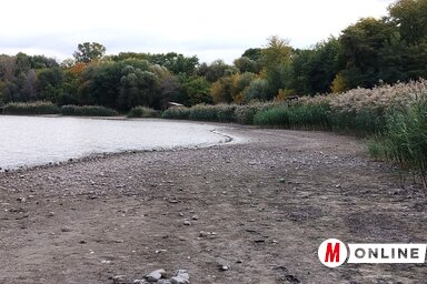 Bár a vízszint jelentősen lecsökkent a Topolyai-tóban az utóbbi időben, a horgászok és a madarászok továbbra is aktívak (Fotó: Tóth Péter felvétele)