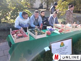 Őszi virágpiac Topolyán