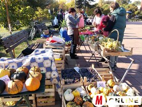 Őszi virágpiac Topolyán