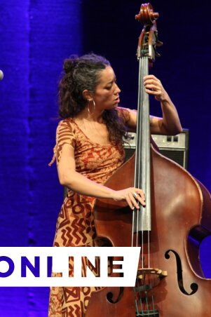 Rosa Brunello a We Existed! zenekar európai (olasz) nagybőgőse (Fotó: Diósi Árpád)