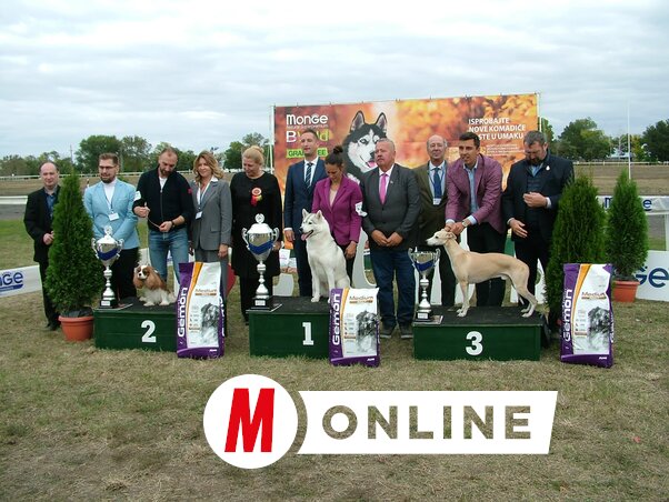 Csoportkép a díjátadó végén (Tóth Péter felvétele)